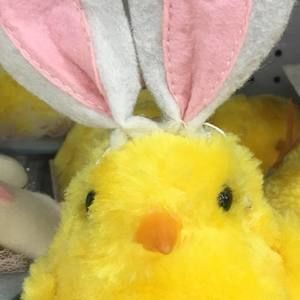 Meet your Posher, Stacey